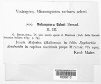 Image Associated With the Occurence